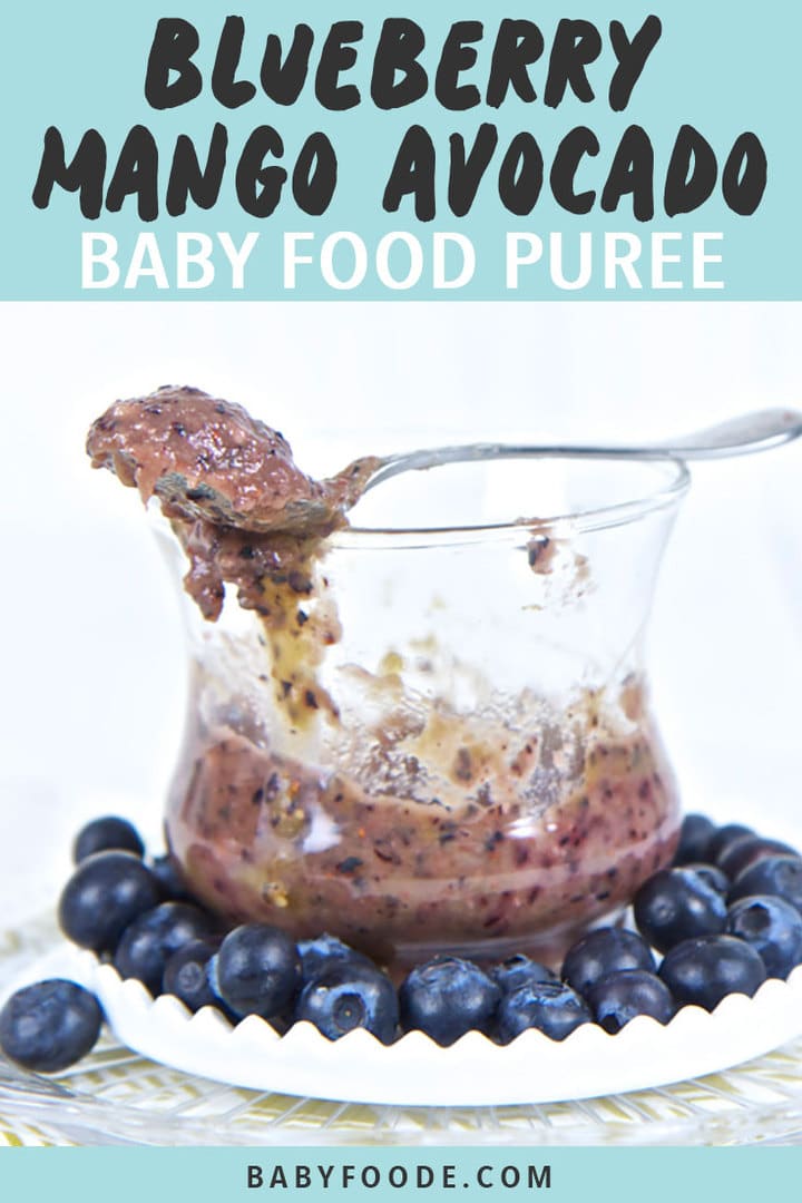 Graphic for Post - Blueberry, Mango and Avocado Baby Food Puree, Image is of a clear cup with the chunky puree inside, with a spoon resting on top of the lid.