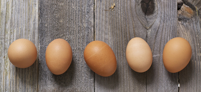5 brown eggs lined up on a wooden surface.