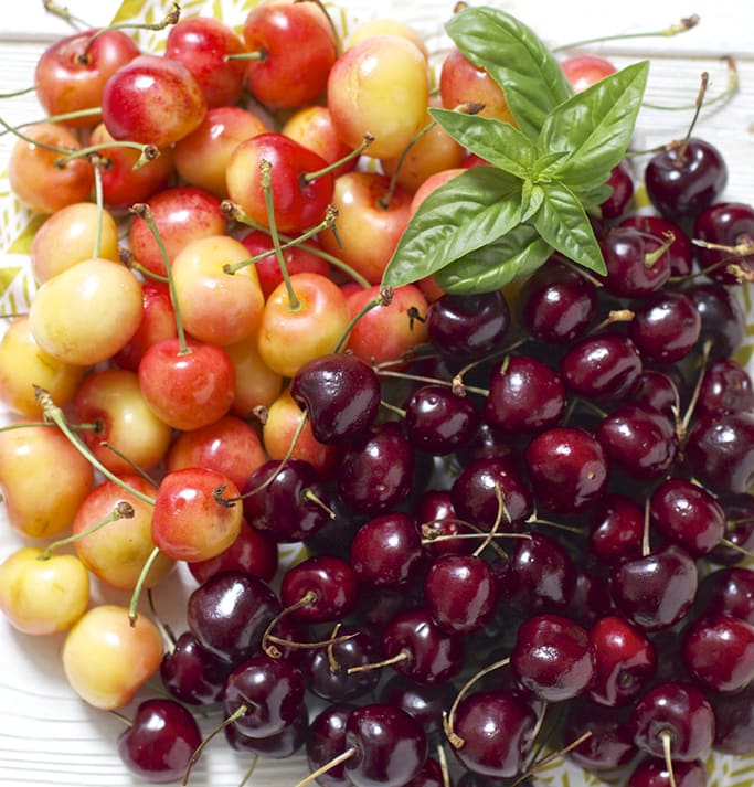 A bunch of cherries - red and sweet - in a big pile with a basil leaf sitting on top.