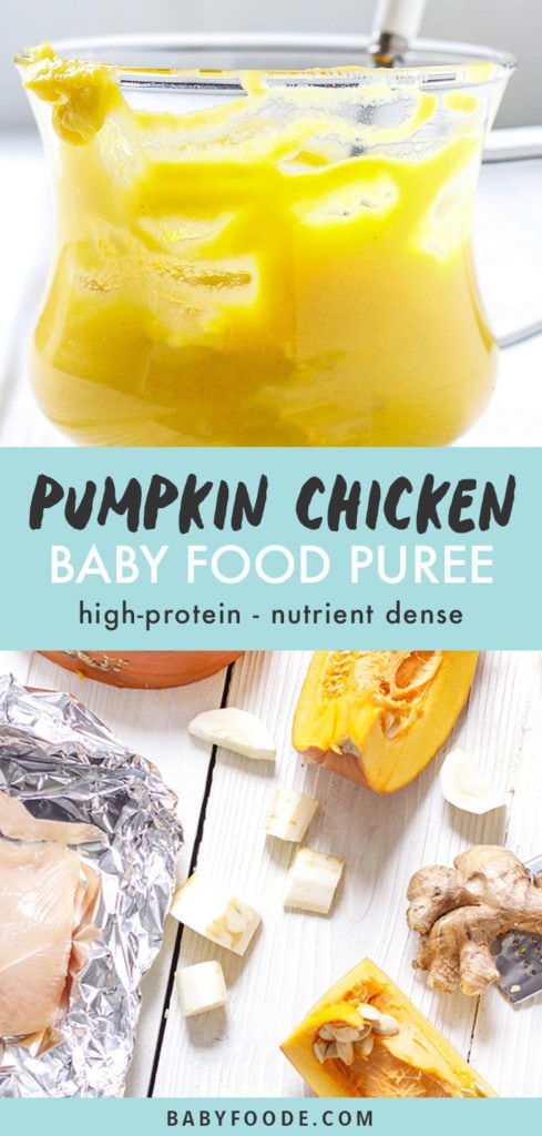 Graphic for Post - Pumpkin Chicken Baby Food Puree - high-protein- nutrient dense. Images are of a close up of a clear bowl filled with creamy homemade puree and the other is a spread of produce on a white background.