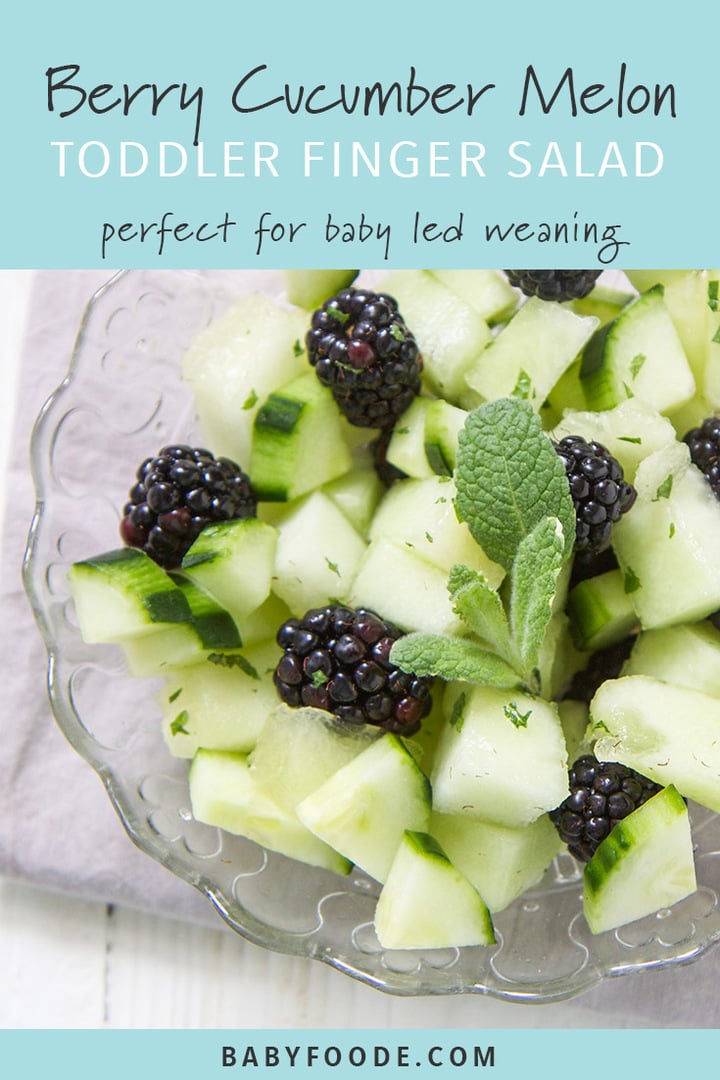 A bowl of blackberry and cucumber finger salad for baby led weaning, toddlers, and kids. 