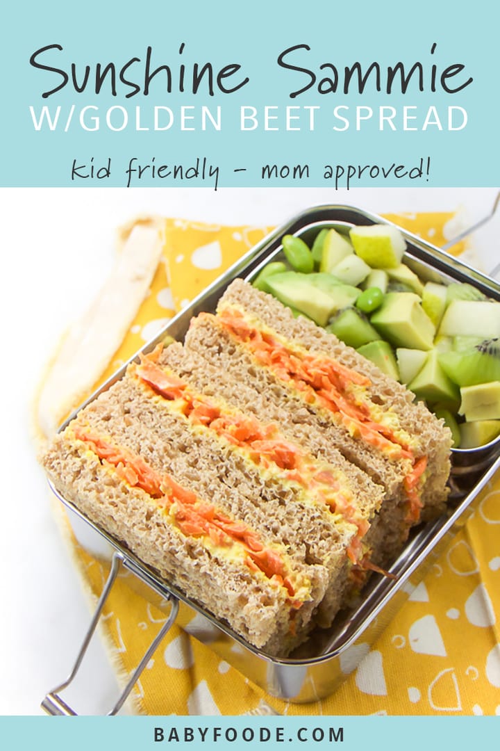 Kid friendly vegetarian sandwich with carrots and beets in a metal lunchbox.
