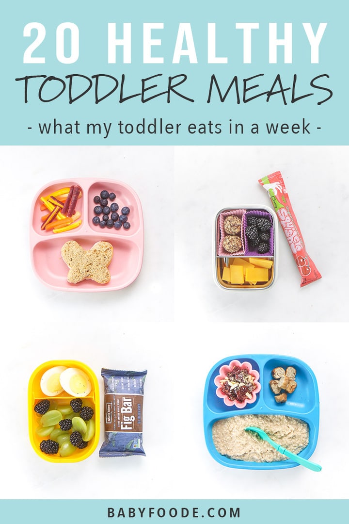 A collage of healthy toddler meals for breakfast, lunch, dinners, and snacks. 