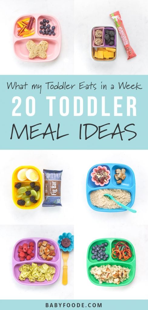 A collage of healthy toddler meal ideas for breakfast, lunch, dinners, and snacks.