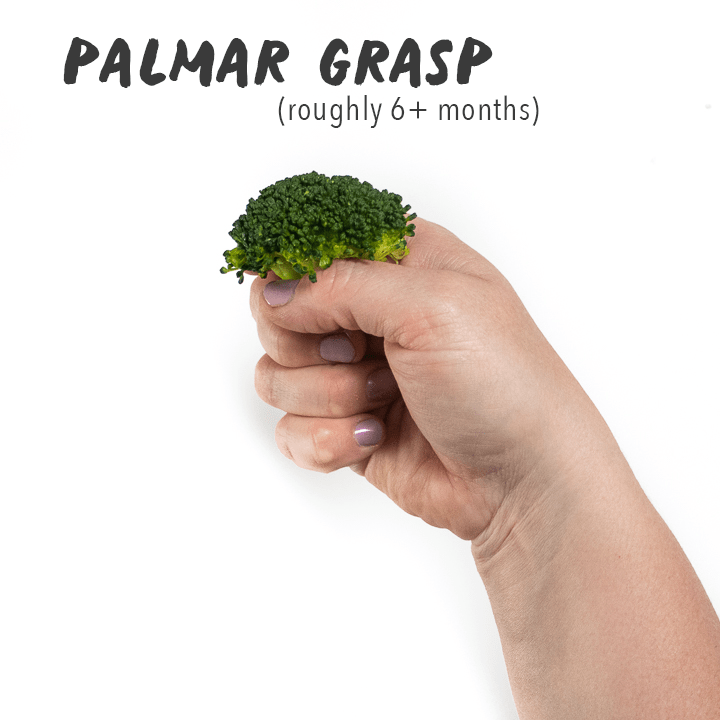 Hand holding a floret of broccoli.