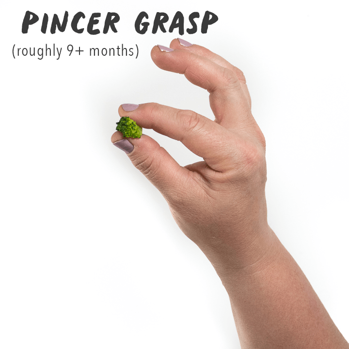 Hand holding a little piece of broccoli.