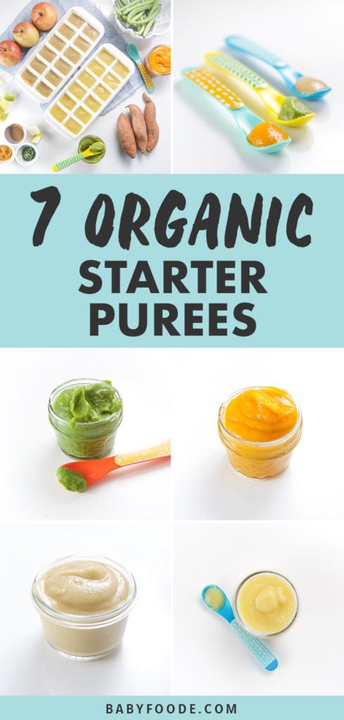 Pinterest image for a collection of frugal organic starter baby purees.