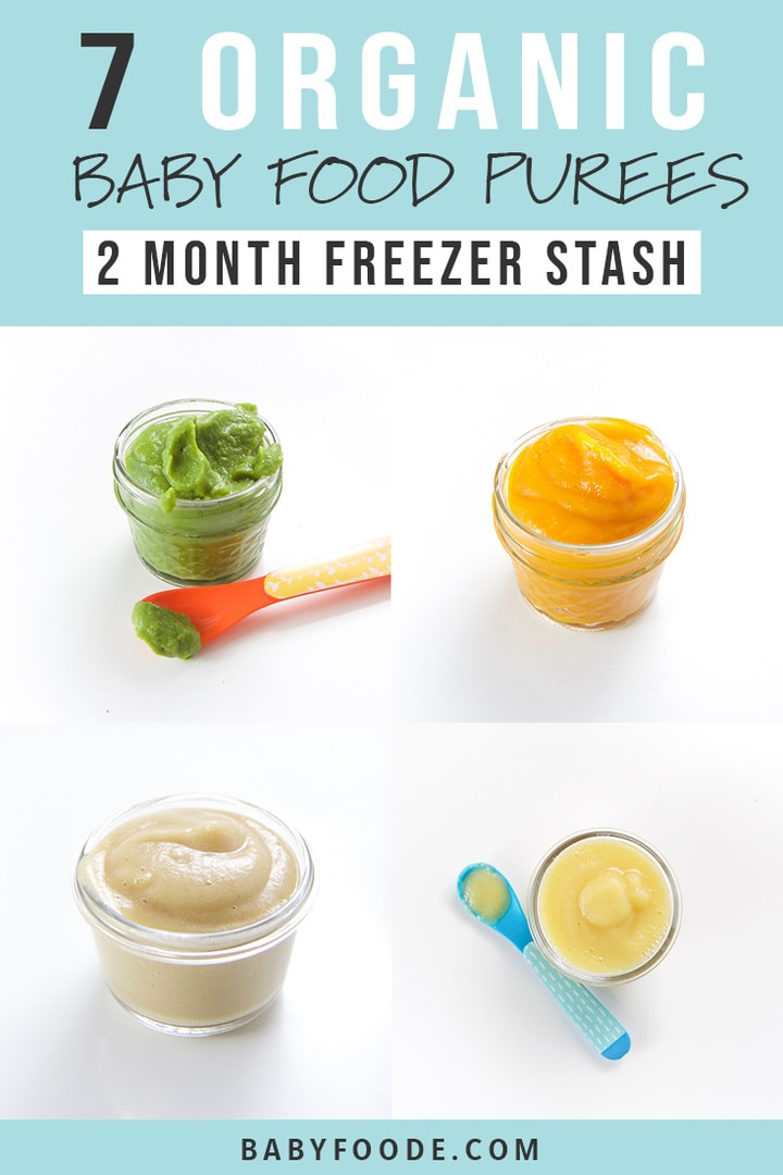 Pinterest image for a collection of frugal organic starter baby purees.