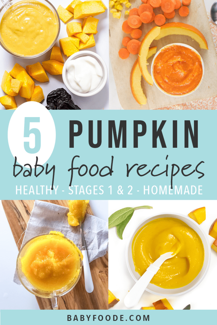 Graphic for Post - 5 pumpkin puree recipes for baby - homemade, stages 1 and 2, healthy. grid of photos all with images of different pumpkin puree recipes for baby.