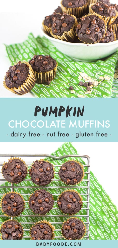 Pinterest image for allergy friendly pumpkin chocolate muffins.