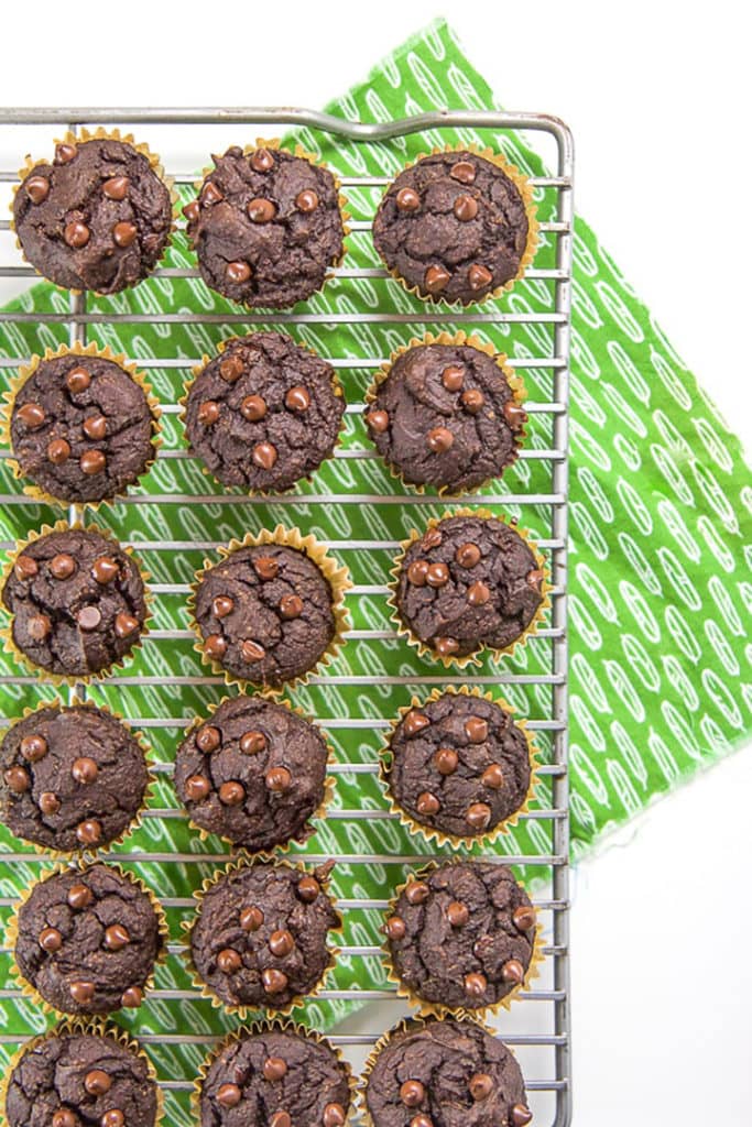 Cooling rack with chocolate chip muffins for toddler and kids