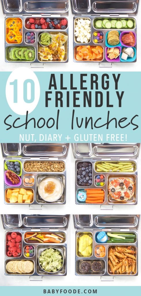A collage of gluten free, dairy free, and nut free school lunch boxes for kids and toddlers.