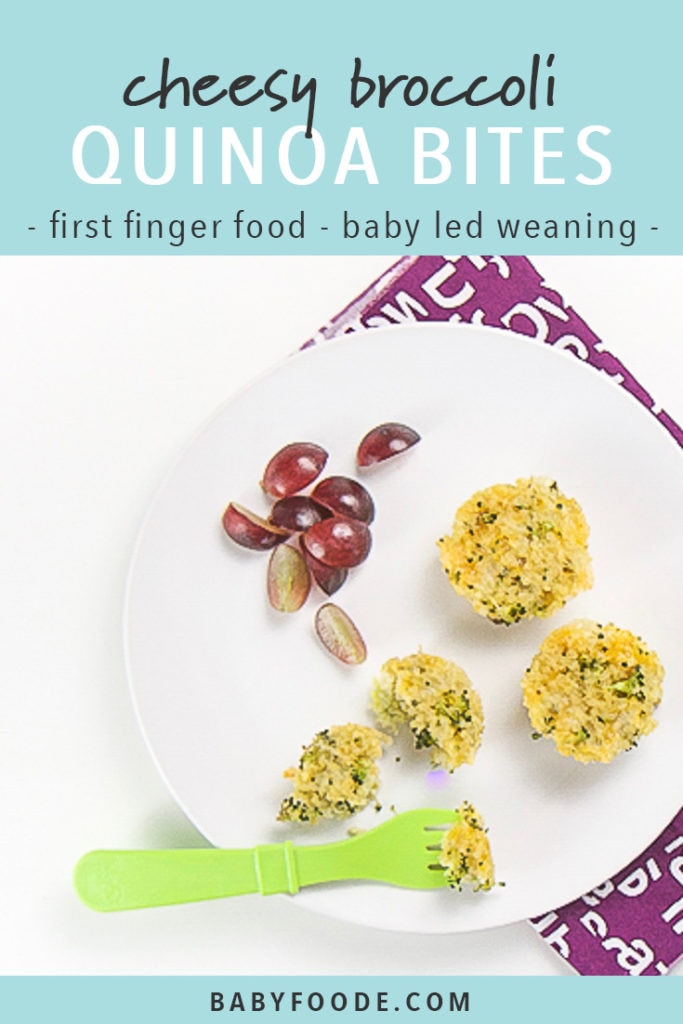 Pinterest image for cheesy broccoli quinoa bites - a quick and easy recipe for baby led weaning.