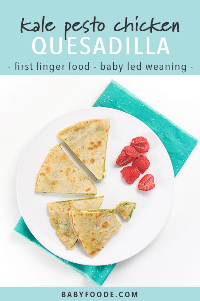 Pinterest image for kale pesto chicken quesadilla - a quick and easy recipe for baby led weaning.