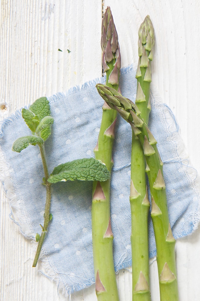 3 spears of asparagus and a mint leave on top of a blue napkin. white board background.