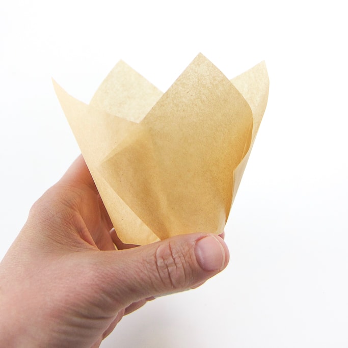 up close shot of a hand reaching from the bottom corner to the middle of the frame holding a beige tulip baking cup.