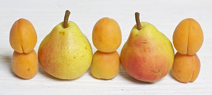 Side shot of pears and apricots lined up in front of a white wooden surface