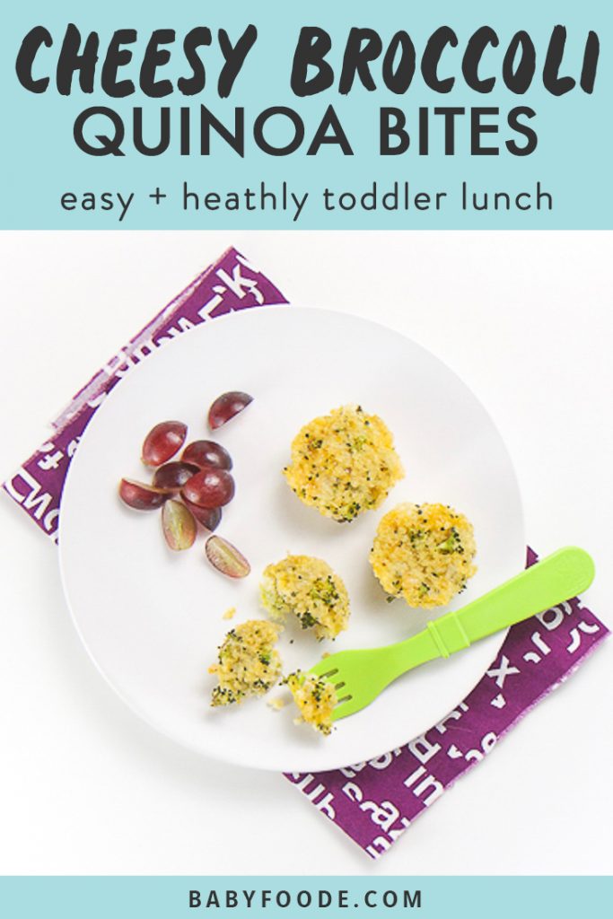 Graphic for post - text reads Cheesy Broccoli Quinoa Bites - easy + healthy toddler lunch. Image is of white plate sitting on top of a purple napkin on a white surface. On the plate is 3 mini cheesy broccoli quinoa bites and a small handful of sliced grapes. One of the quinoa bites is halfway eaten with a fork.