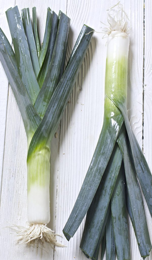 2 large leeks laying flat on a white wooden surface.