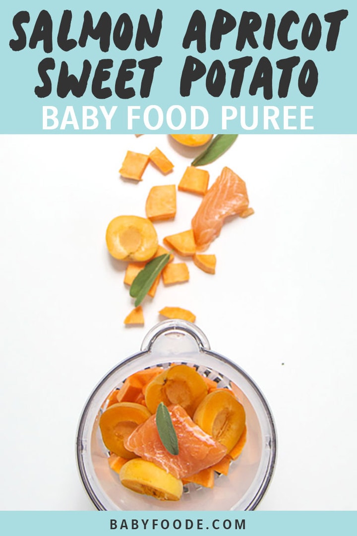 Graphic for Post - Salmon Apricot sweet Potato Baby Food Puree, with images of produce scattered outside of blender on white background.