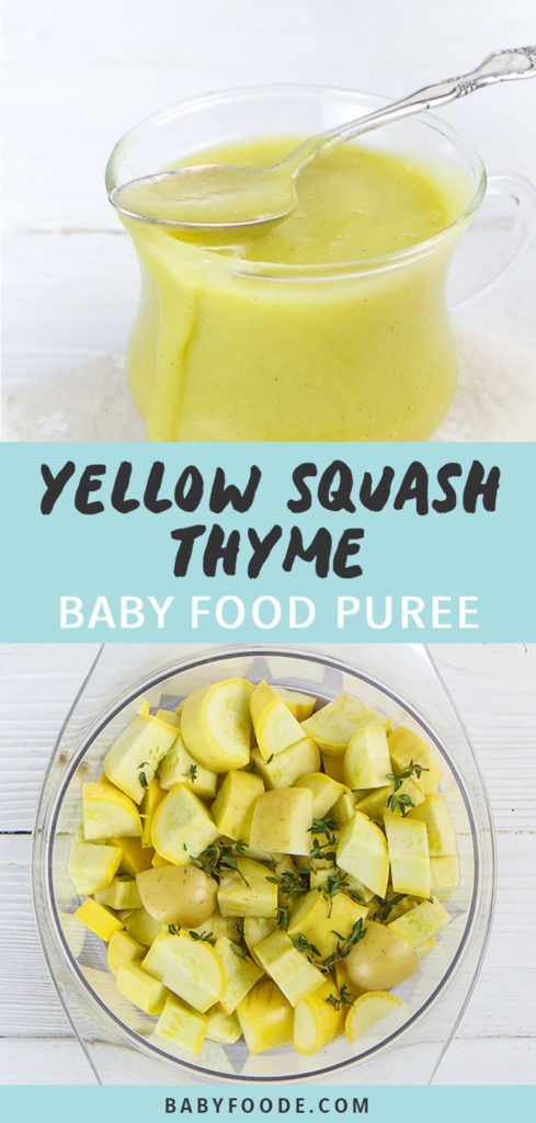Graphic for Post- Yellow Squash Thyme Baby Food Puree. Image is of a Small clear jar filled with homemade squash thyme baby food puree as well as a Cooked produce in a steamer basket.