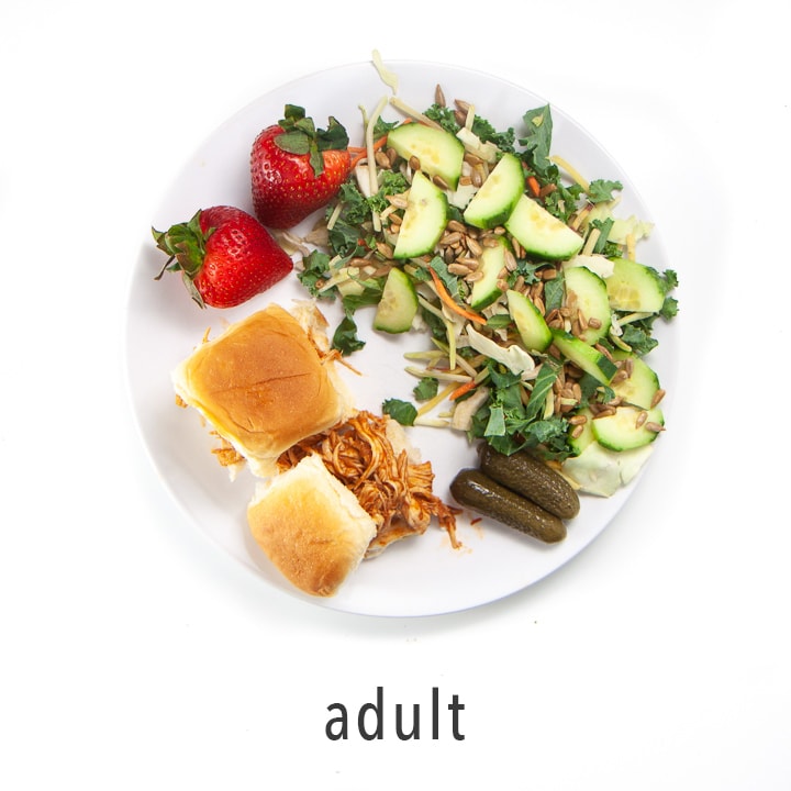 adult plate - shows how to serve one meal to the entire family.