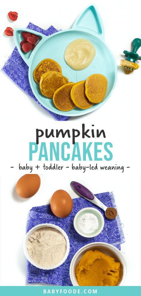 Graphic for post - pumpkin pancakes for baby and toddlers - baby-led weaning. Images are of a kids panda plate filled with small pumpkin pancakes along with an image of a spread of 5 ingredients for recipe.
