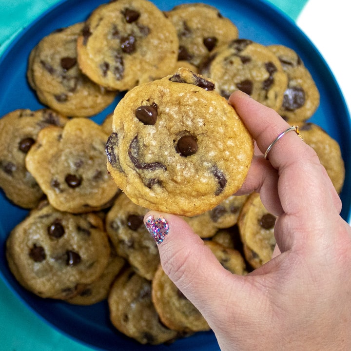 Hand holding up a healthy whole wheat cookie.