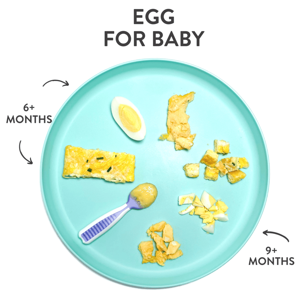 blue baby plate with different ways to cook eggs, sitting on a white kitchen counter. Arrows and graphics showing you which age you can feed your baby which type of eggs.