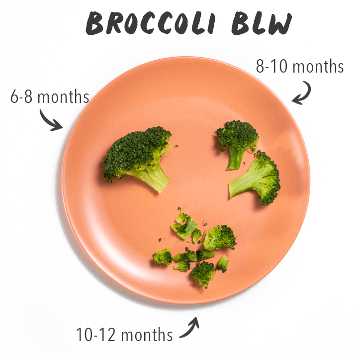 Peach colored plate with broccoli cut in 3 different sizes for baby.