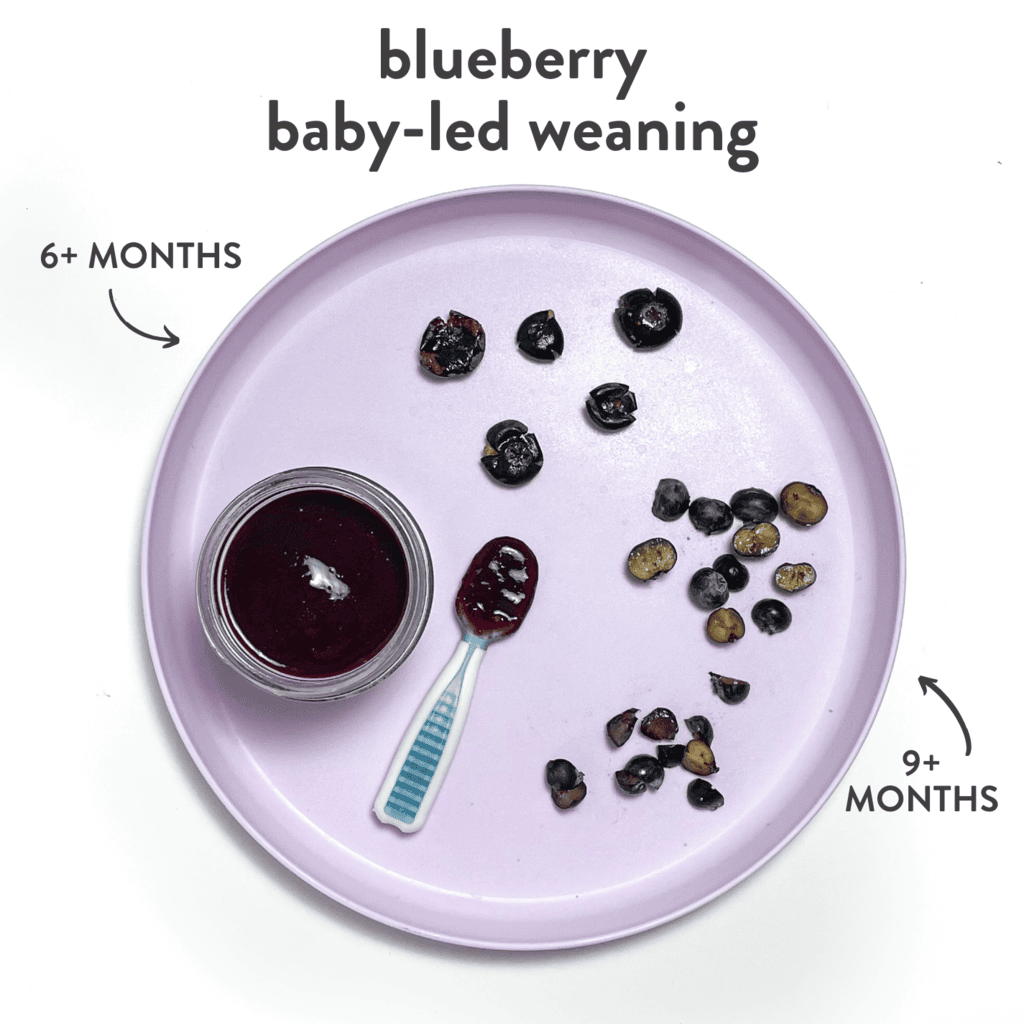 Purple baby plate showing different baby foods with blueberries with graphics showing which age they can be served to a baby.
