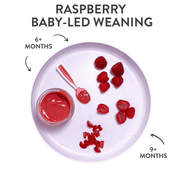 Purple baby plate showing different baby foods with raspberries with graphics showing which age they can be served to a baby.