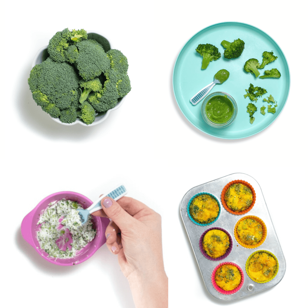 grid of 4 images - a bowl of broccoli, a plate of different size pieces of broccoli for baby at different ages, a tray of egg muffins with broccoli and the a bowl of mashed broccoli and ricotta. 