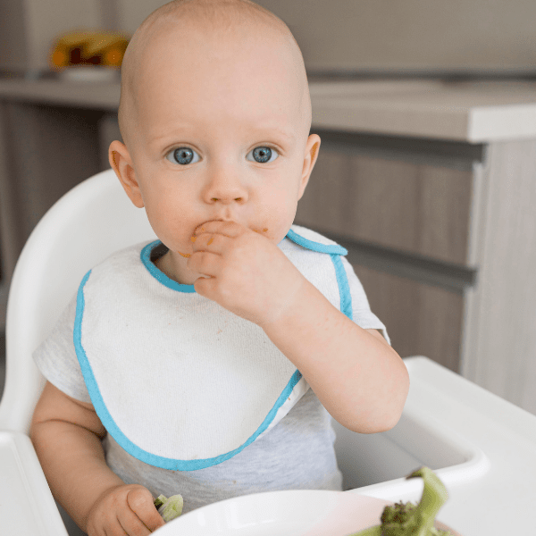 Baby in white chair in kitchen eating with a pincer grasp.