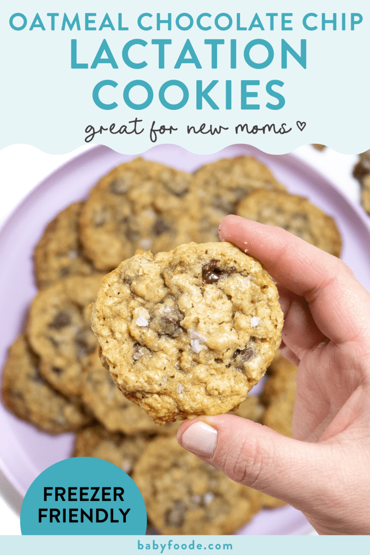 Graphic for posts - oatmeal chocolate chip lactation cookies - great for new moms - freezer friendly. Image is of a hand holding a lactation cookie over a purple plate of more cookies.