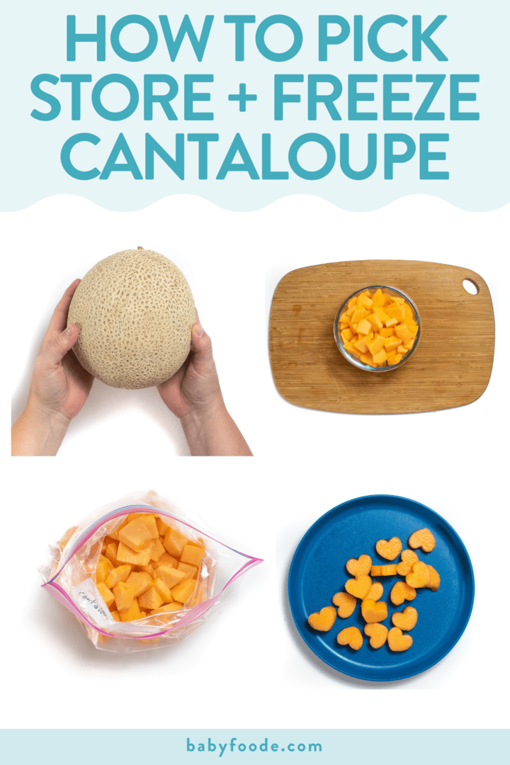 Graphic for post - how to pick, store and freeze cantaloupe. Images are in a grid of a cantaloupe, a storage container filled with cut cantaloupe, frozen cantaloupe and cut cantaloup against a white background.