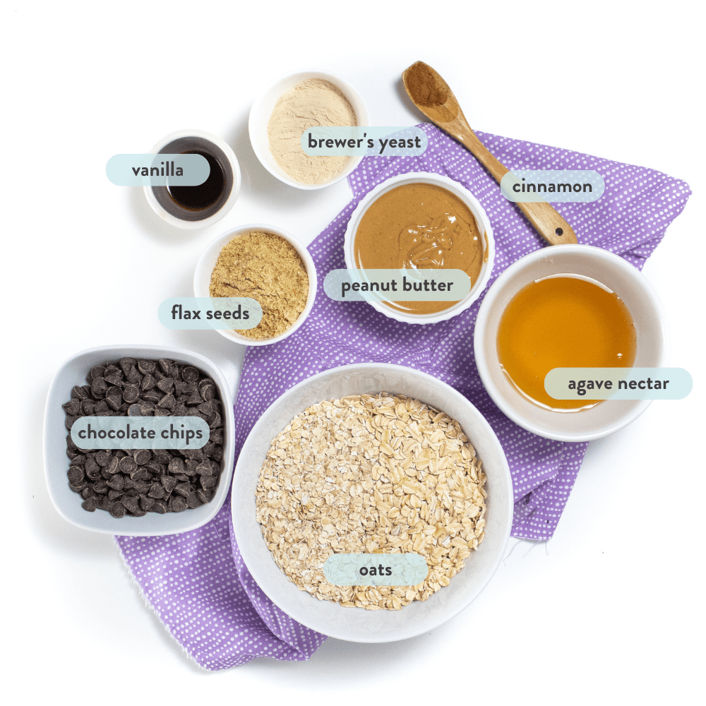 spread of ingredients for lactation energy bites on top of a purple napkin and white background.