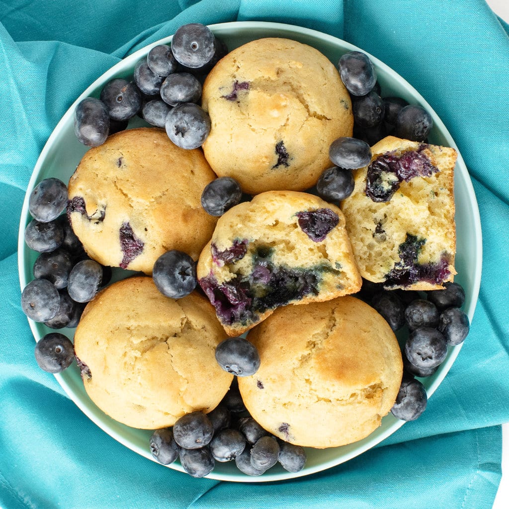 Blueberry muffins on a kids plate surrounded by blueberries with a teal towel.