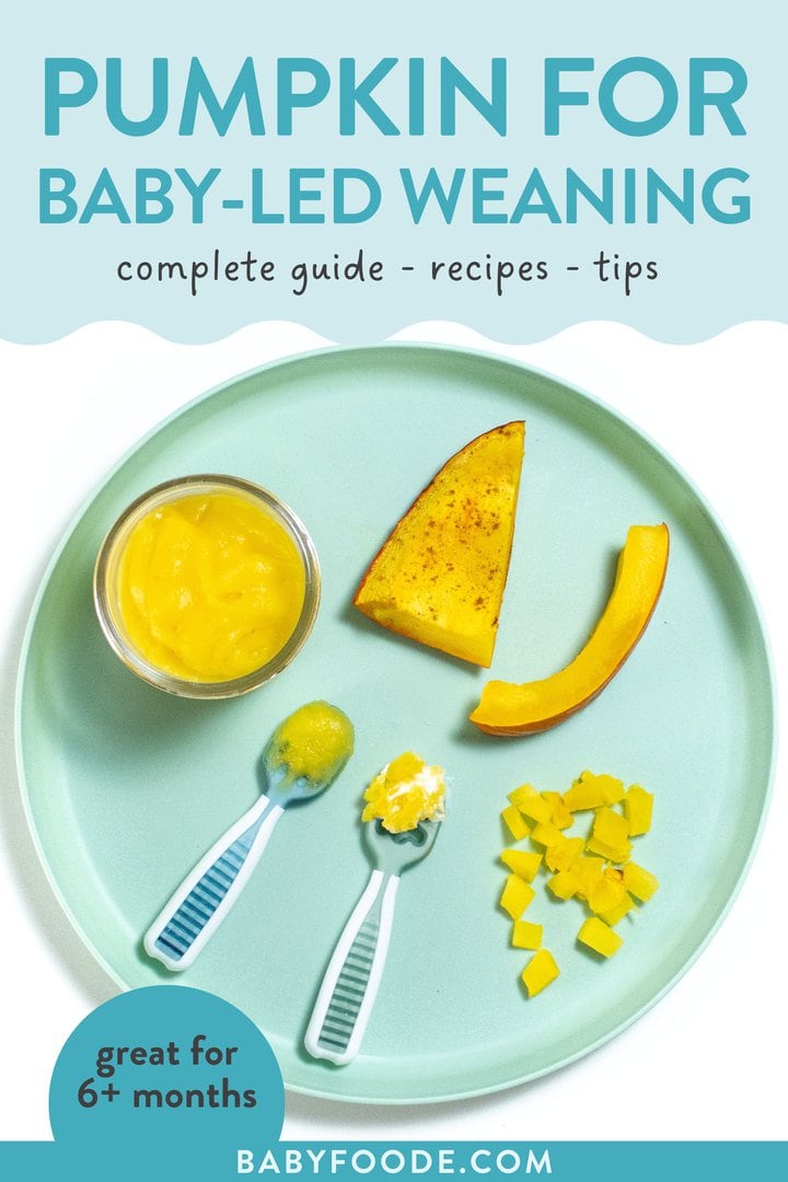 Graphic for post – pumpkin for baby led weaning, complete guide, recipes, tips for 6+ months. Image is of a teal baby plate with different ways to serve pumpkin to your baby.