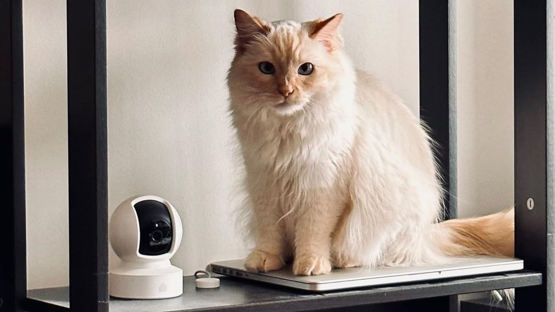 Best gifts for new parents: Kasa baby monitor