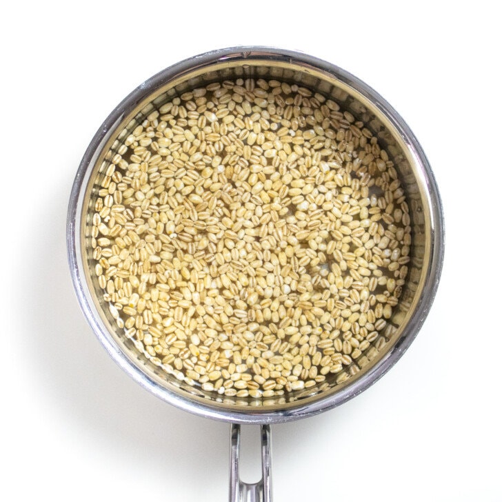 Small silver saucepan on a white countertop, full of water and dry barley.