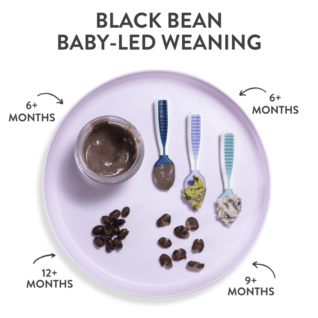 Purple baby plate showing different baby foods with graphics showing which age they can be served to a baby.