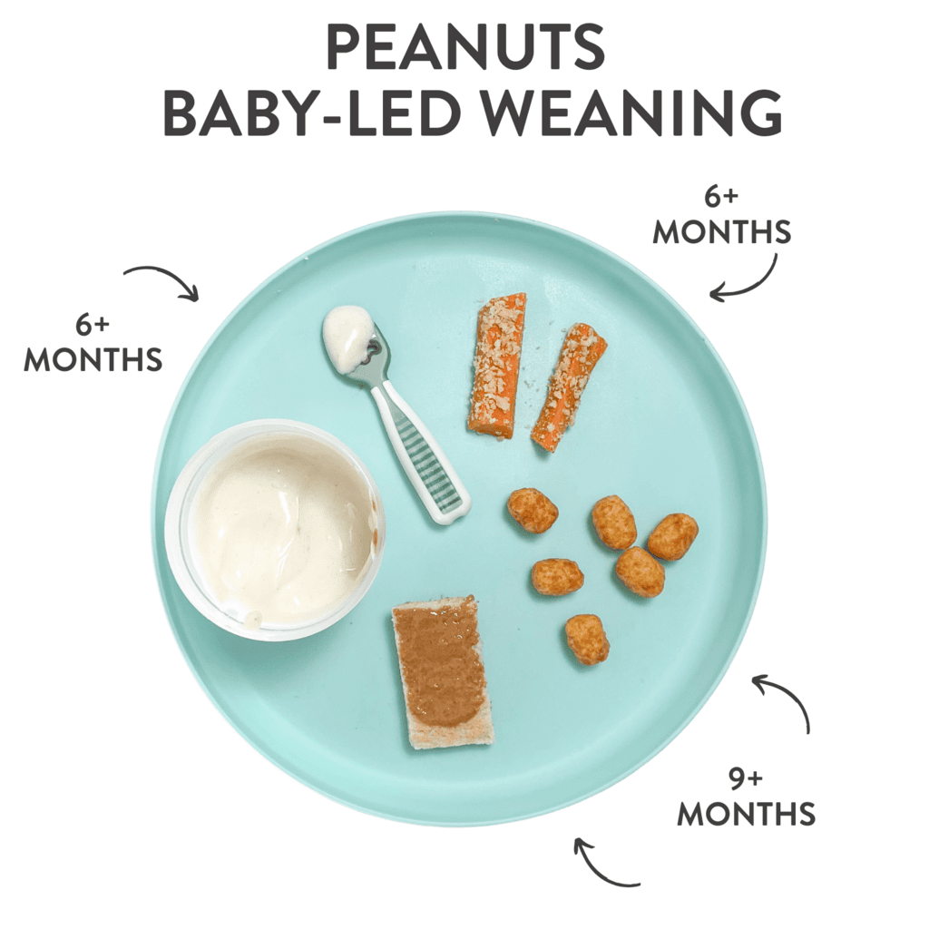 Teal baby plate showing different ways to introduce peanuts to your baby. Has arrows and ages pointing to each food.