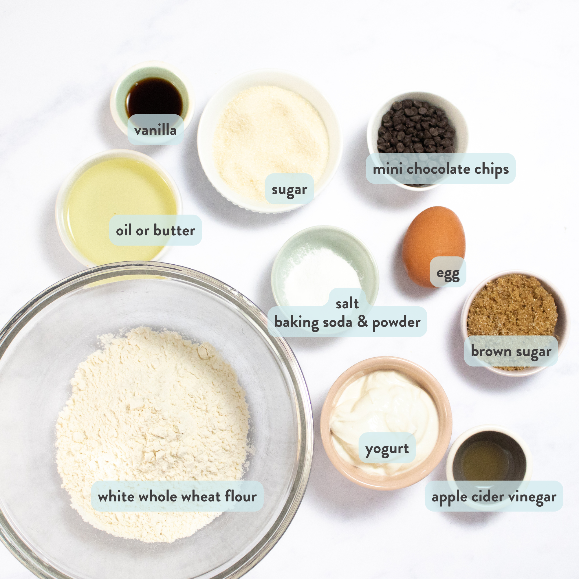 ingredients for mini chocolate chip muffins in small bowls on my white kitchen counter with graphic tags on what is what - white whole wheat flour, yogurt, mini chocolate chips, egg, oil, sugar, etc.